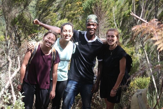7 Days Lemosho Route Kilimanjaro Climbing | Solely Tours - Meals, Tents, and Camp Comfort That Actually Helps