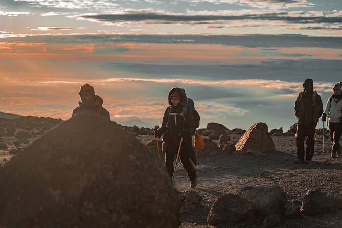 7 Days Machame route - Kilimanjaro - Machame Route, 7 Days: Why Your Altitude Plan Matters