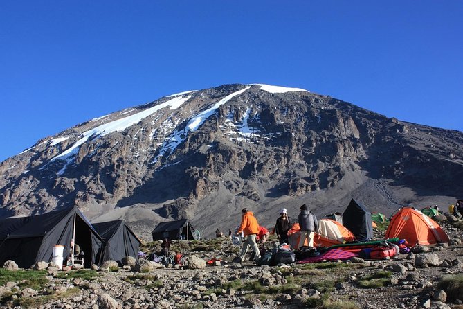 7 Days Machame Route Kilimanjaro Trekking - Key points before you lace up