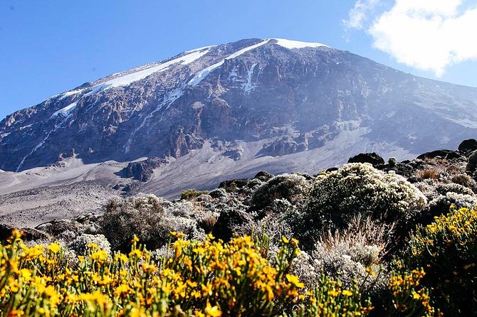 7 Days Machame Route Trek Mount Kilimanjaro - Price and value: what $2,200 covers on Kilimanjaro