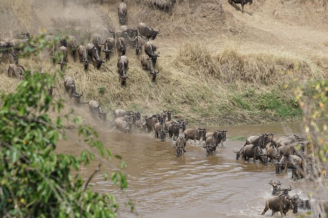 7 Days Migration Crossing in Mara River Northern Serengeti - Day 1 in Arusha: setting the tone in a cooler start