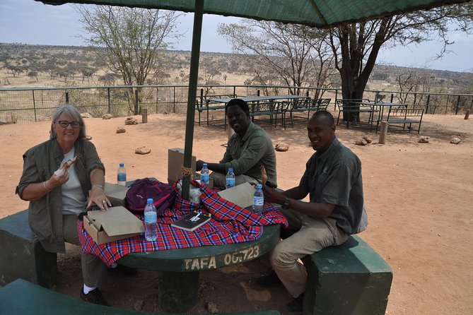 7 Days Migration Crossing in Mara River Northern Serengeti - Day 3 in Serengeti: searching, spotting, and staying flexible