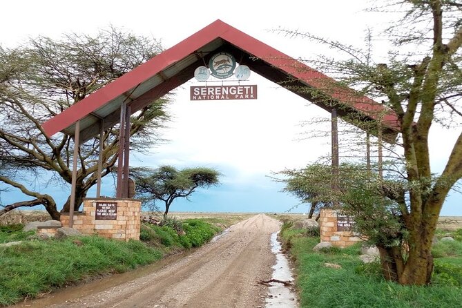 7 days Mt Kilimanjaro,Tarangire NP, Ngorongoro, Serengeti NP, Lake Manyara NP - Marangu Gate to Mandara Hut: the Kilimanjaro day that sets your tone
