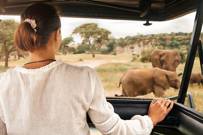7-Days Private Midrange Safari; Serengeti & Ngorongoro Crater - Who This Safari Fits Best