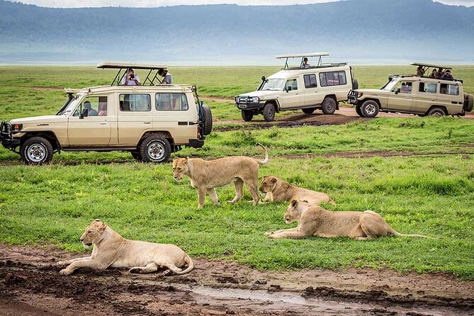 7-Days Private Midrange Safari; Serengeti & Ngorongoro Crater - Should You Book This Private Midrange Safari?