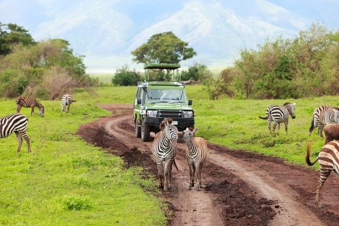 7-Days Private Midrange Safari; Serengeti & Ngorongoro Crater - Your 7 Days, Day by Day