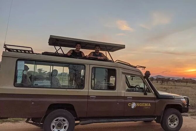 7 Days Private Safari in Tanzania - Serengeti to Ngorongoro: switching from plains to crater country