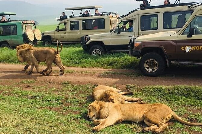 7 Days Private Safari in Tanzania - Lake Manyara on your last day: flamingos and the lion-tree legend