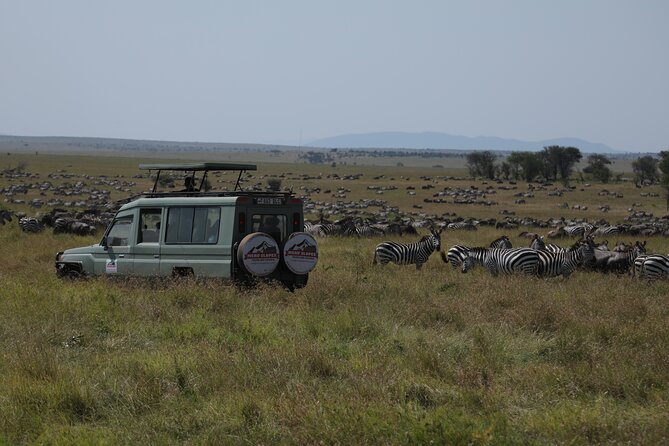 7 Days Private Serengeti Wildebeest Migration Tour - Key highlights worth booking for
