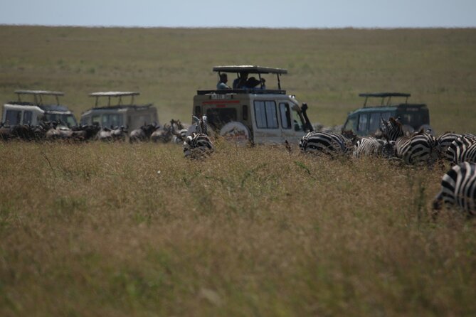 7 Days Private Serengeti Wildebeest Migration Tour - The Northern Circuit plan that actually makes sense