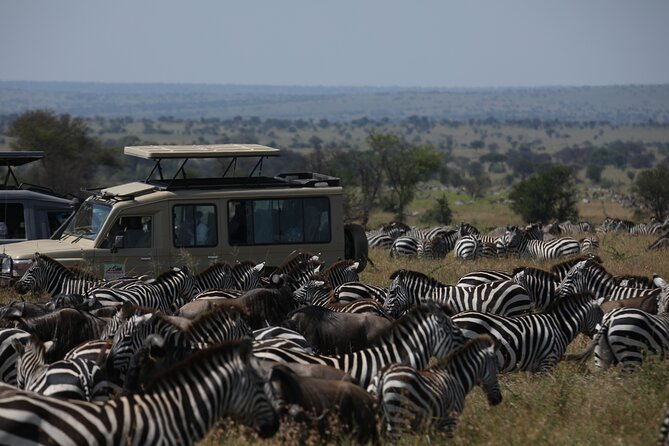 7 Days Private Serengeti Wildebeest Migration Tour - Ngorongoro rim lodge: a crater view to decompress