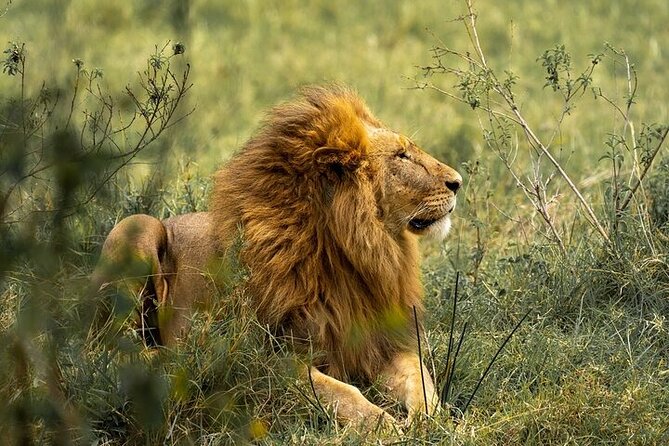 7 Days Rhino Ngorongoro Crater Safari Tour - Tarangire National Park: The River That Brings Animals Into Focus