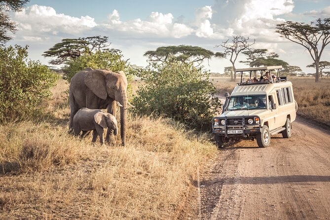 7 days safaris to see great migration - Ngorongoro Conservation Area and the crater rim drive: the view that makes it real