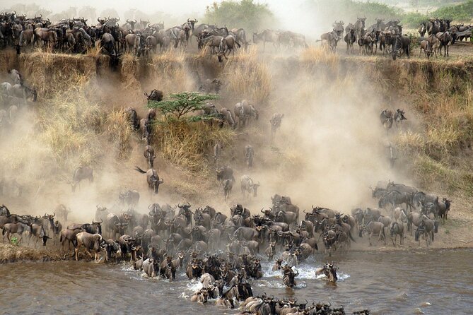 7 days safaris to see great migration - Price and value: what $3,461.54 per person really covers