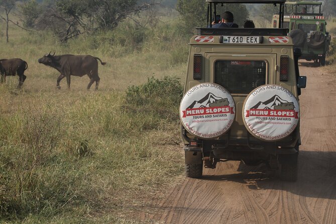 7 Days Serena Experience to Serengeti Great Migration - Arusha arrival and the briefing that sets your safari pace