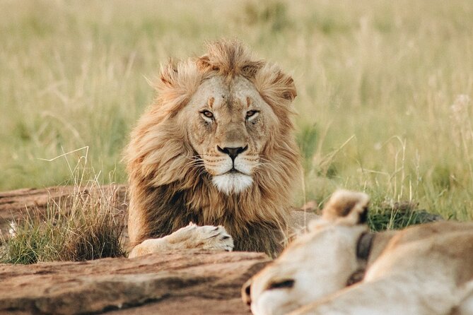 7 Days Tanzania Luxury Safaris - Day 7 Mto wa Mbu village, markets, and the animal pathways nearby
