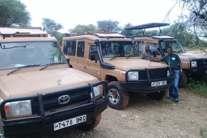 7 Days Tanzania Mid-range lodge safari - The Real Win: One Route, Big Tanzania Variety in Less Time