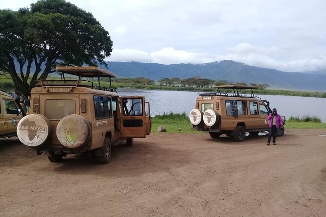 7 Days Tanzania Mid-range lodge safari - Day 2 in Lake Manyara: Options That Let You Choose Adventure vs. More Game Drive