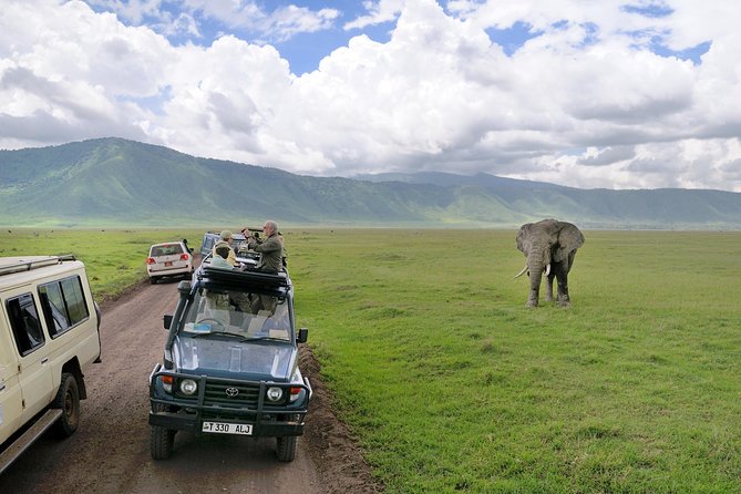 7 Days Tarangire, Serengeti, Ngorongoro & Manyara Camping Safari Tour Tanzania - Serengeti Central and the Big-Cat Concentration Plan