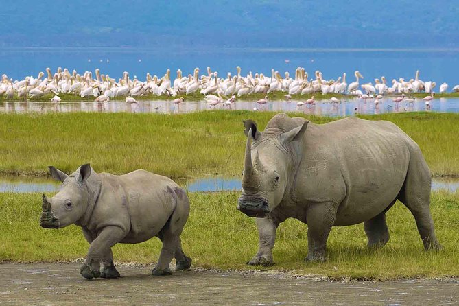 7 Days Tarangire, Serengeti, Ngorongoro & Manyara Camping Safari Tour Tanzania - Ngorongoro and Lake Manyara, Why the Variety Is Useful