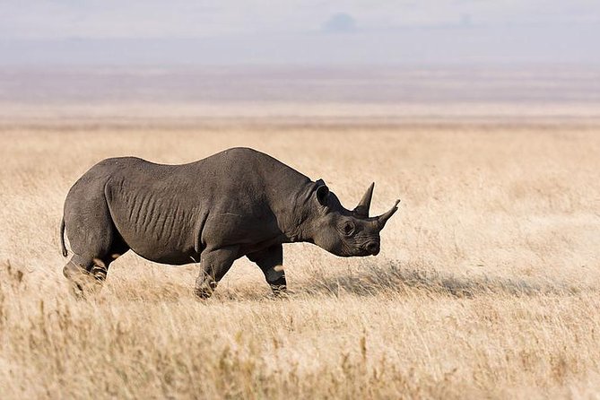 7 Days Tarangire, Serengeti, Ngorongoro & Manyara Camping Safari Tour Tanzania - Price and Value: What $2,692.31 Covers