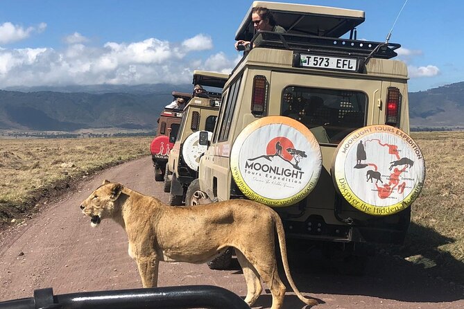 7Day Serengeti Migration (Ndutu), Crater, Hot Springs & City Tour - Ndutu Lake game drives, predator-prey drama, and a private sundowner