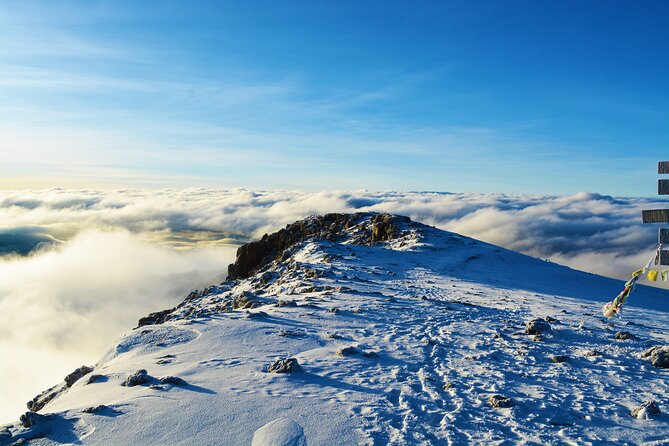 8 Day Climbing Kilimanjaro Via Lemosho Route - Day 7: Midnight Summit Start, Stella Point Sunrise, and Uhuru Peak Celebration