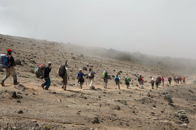 8 Day Kilimanjaro Lemosho Climb - Key Highlights You Should Care About
