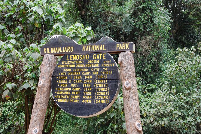 8 Day Kilimanjaro Lemosho Climb - Days in Motion: Rainforest to Shira Plateau (and Why That Matters)