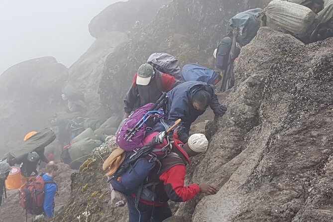 8 Day Kilimanjaro Lemosho Climb - Day 6 Into Summit Camp: Slow Steps, Serious Planning