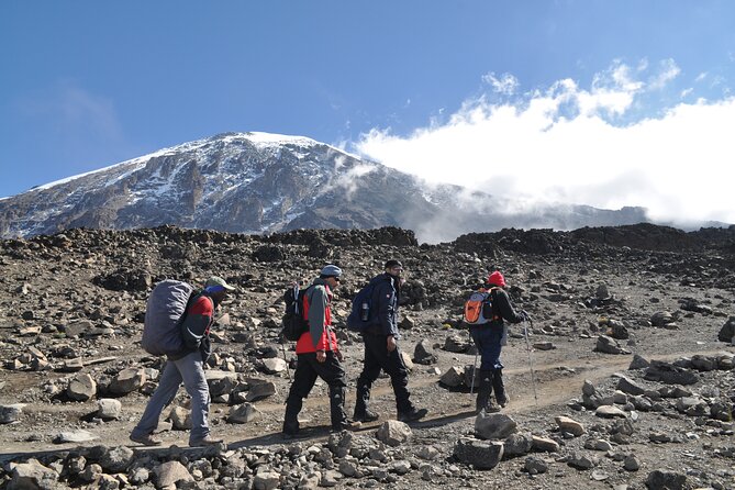 8 Day Kilimanjaro Lemosho Climb - Day 8: Rainforest Descent and Back to Moshi