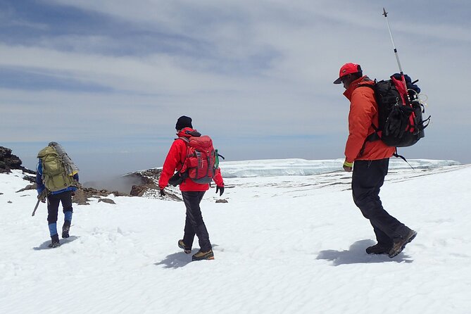 8 Day Kilimanjaro Private Climb via Lemosho Route - Day 5: Great Barranco Wall, Heim Glacier views, and Karanga Camp