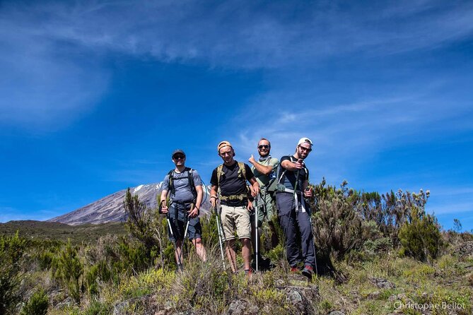 8 Day Kilimanjaro Private Climb via Lemosho Route - Day 7: Headlamp climb to Stella Point and Uhuru Peak