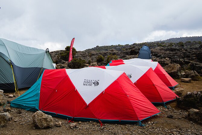 8 Day Kilimanjaro Trek via Lemosho Route - Key highlights to know before you go