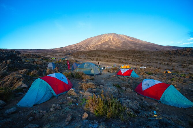 8 Day Kilimanjaro Trek via Lemosho Route - Why the Lemosho Route feels calmer and more varied