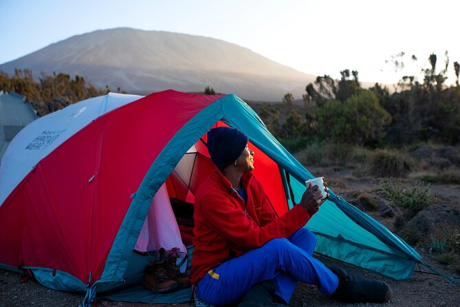 8 Day Kilimanjaro Trek via Lemosho Route - Day 4 to Day 5: Shira Plateau into Lava Tower acclimatization