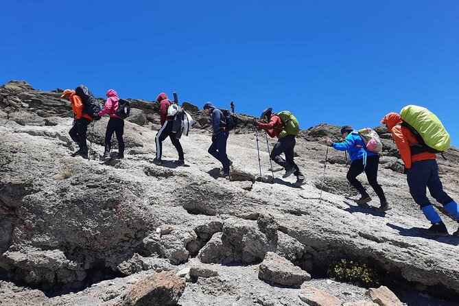 8 Day Mount Kilimanjaro Trekking Lemosho Route - Why the 8-day Lemosho route works for altitude