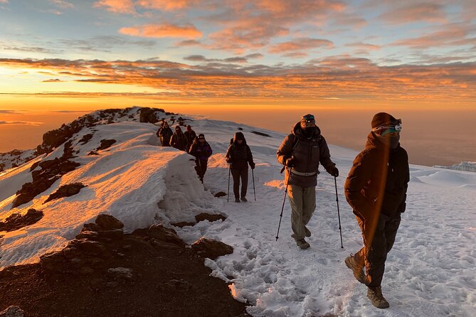 8 Day Mount Kilimanjaro Trekking Lemosho Route - Day 3: Shira 2 moorland meadows for real acclimatization