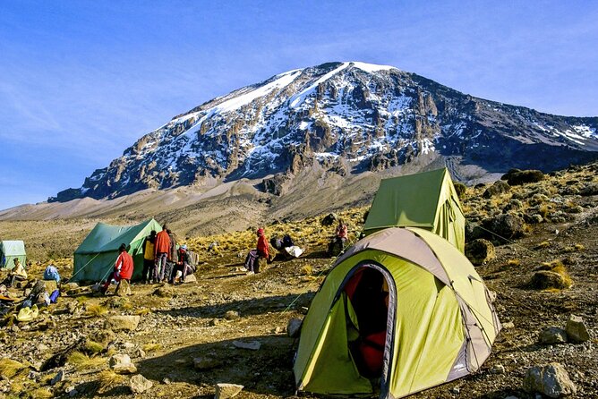 8 Day Mount Kilimanjaro Trekking Lemosho Route - Day 1: From Moshi to Lemosho Glades and Mti Mkubwa campsite