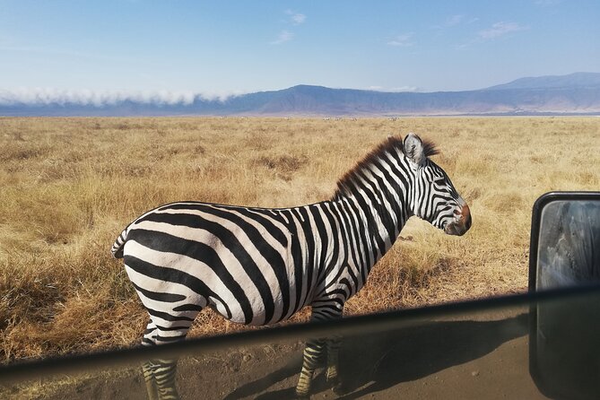 8-Day Private Guided Tanzania Safari with Pick Up - Arriving near Kilimanjaro, then easing into Arusha at Tulia