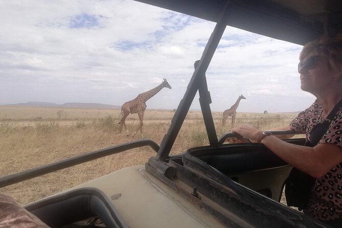 8-Day Private Guided Tanzania Safari with Pick Up - Tarangire National Park: elephants, baobabs, and Maasai land scenery