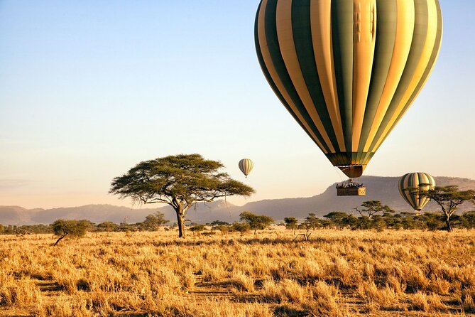 8 Day private wildebeest migration safari Serengeti Ngorongoro - When the route shifts: Serengeti to Ngorongoro for predator density