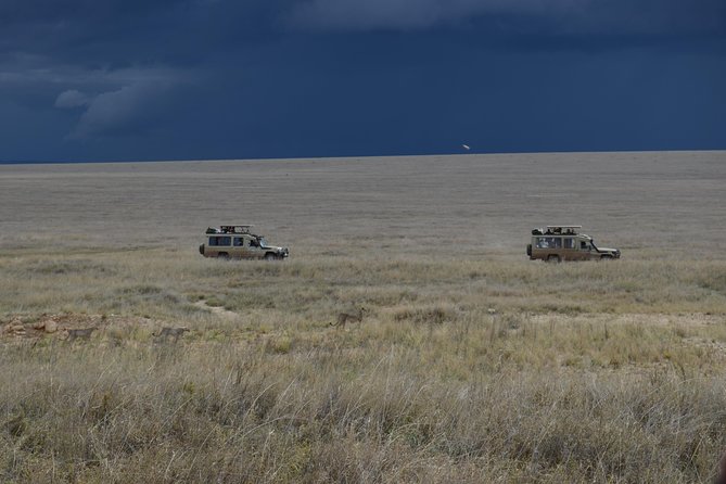 8 Day private wildebeest migration safari Serengeti Ngorongoro - Should you book the 8-day private migration safari to Serengeti and Ngorongoro?