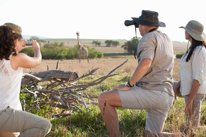 8 Day private wildebeest migration safari Serengeti Ngorongoro - Serengeti basics that actually improve your odds