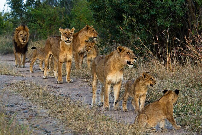 8 Day Safari The Best of Tanzania & Lake Eyasi - Tarangire National Park and its baobabs: where animals cluster