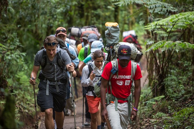 8-Day Small-group Lemosho Kilimanjaro Summit Trekking - Day 7 Midnight Summit: Stella Point for Sunrise, Uhuru Peak Timing, Then Mweka Camp