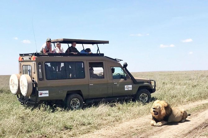 8 Day Spectacular Migration Serengeti mid -Range Tanzania Safari - Pickup, Mobile Tickets, and Direct Park Entry