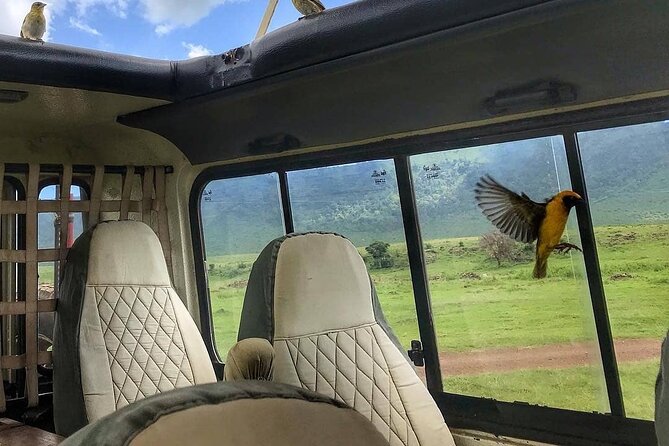 8-Day Tanzania Private Safari Tour with Airport Pickup - Tarangire National Park: Baobabs, Elephants, and Pythons in the Same Frame
