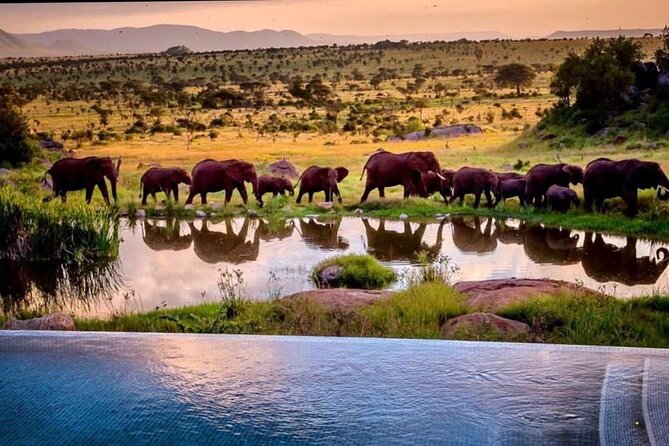 8-Day Tanzania Private Safari Tour with Airport Pickup - Serengeti, Not Just One Day: Three Shots at the Big Moments