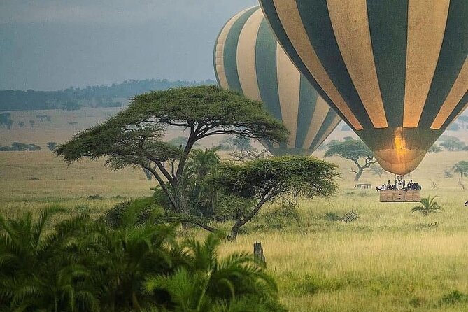 8-Day Tanzania Private Safari Tour with Airport Pickup - Ngorongoro Conservation Area: Crater Descent and the Man and Biosphere Angle
